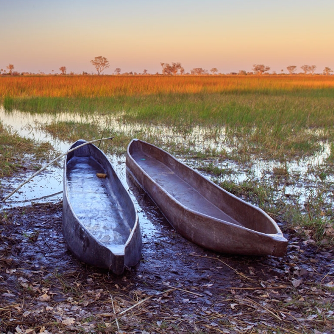 Canoeing on the Okavango Delta, Botswana