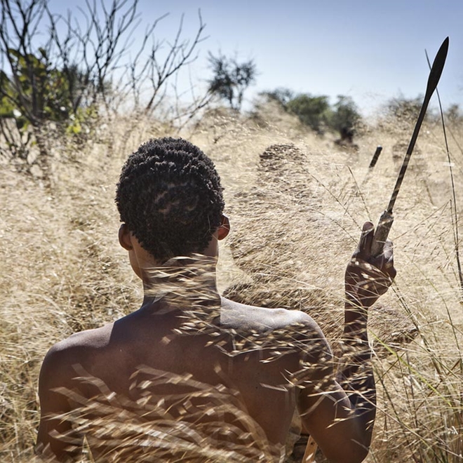 Hunting with the San people, Botswana