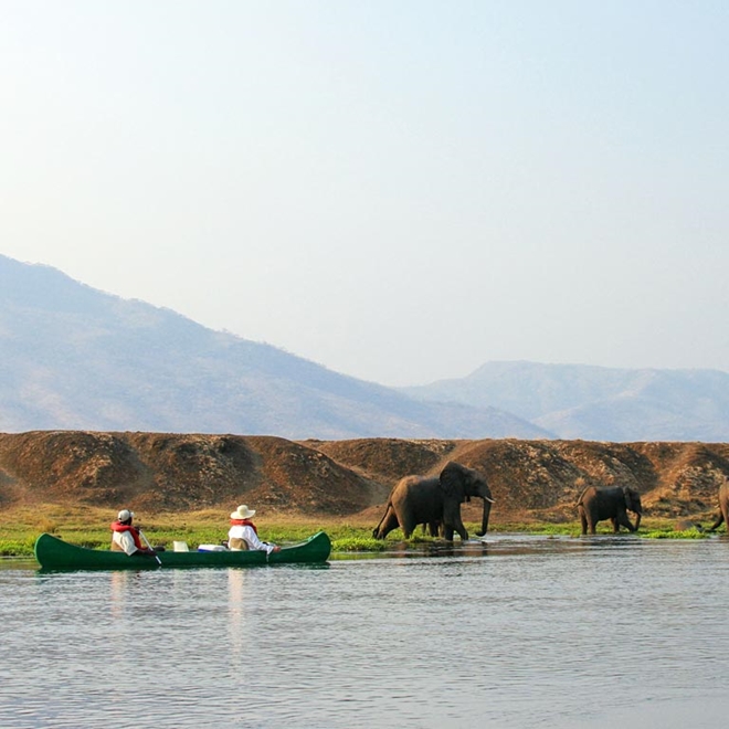 Canoeing with elephants on safari
