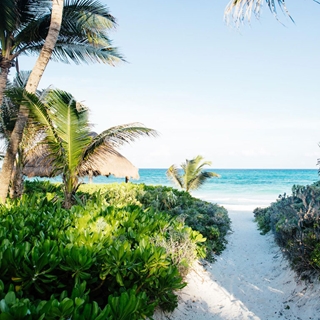 Ultimate beach resorts