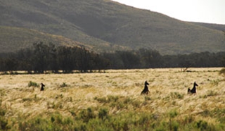 Australia family adventure