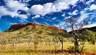 Wild Western Australia