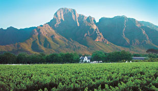 Franschhoek, Winelands