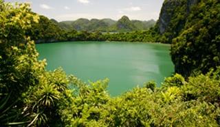 Vietnam: when to go