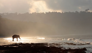 Andaman Islands
