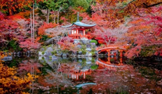 Our guide to Japan