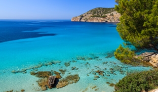 The insider's guide: Mallorca