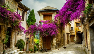 Best Things to Do in the French Rivera