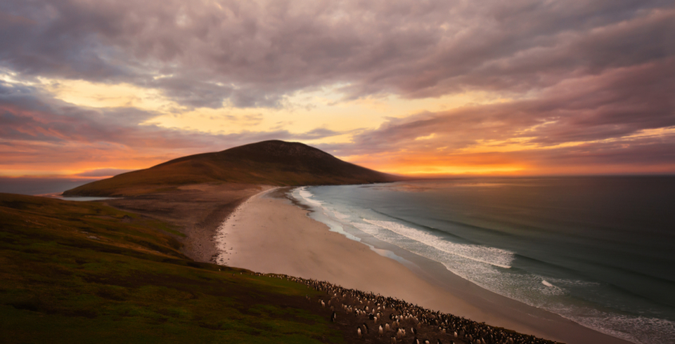 The Falklands