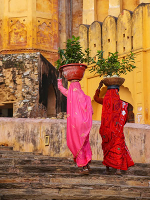Luxury Golden Triangle Tours