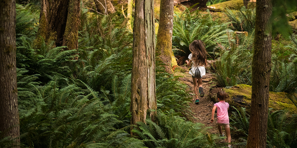 Children playing in the forest in Canada