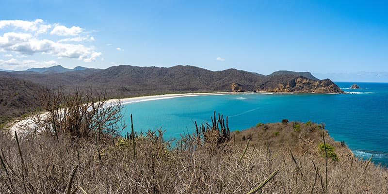 A beach surrounded by cliffs and hills