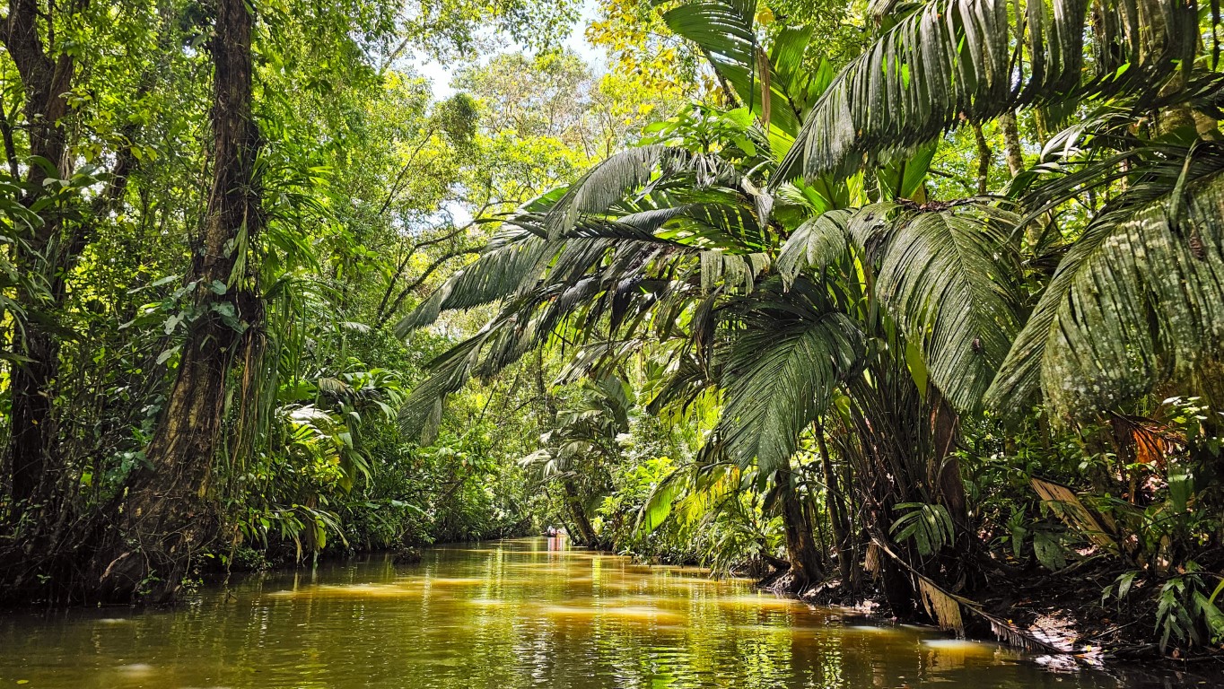Naturalist Guide's Insight on Travel that Makes a Difference