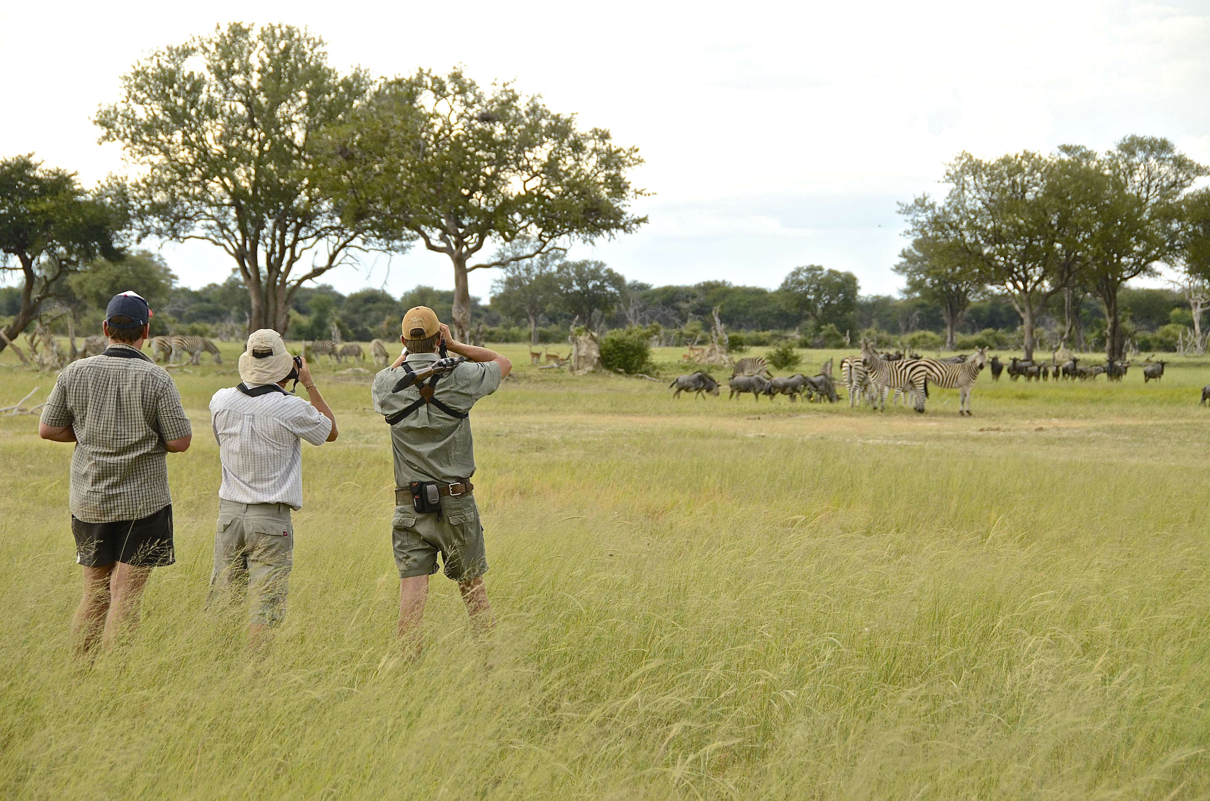 Imvelo Safari Lodges - Camelthorn Lodge - The plains are great walking country