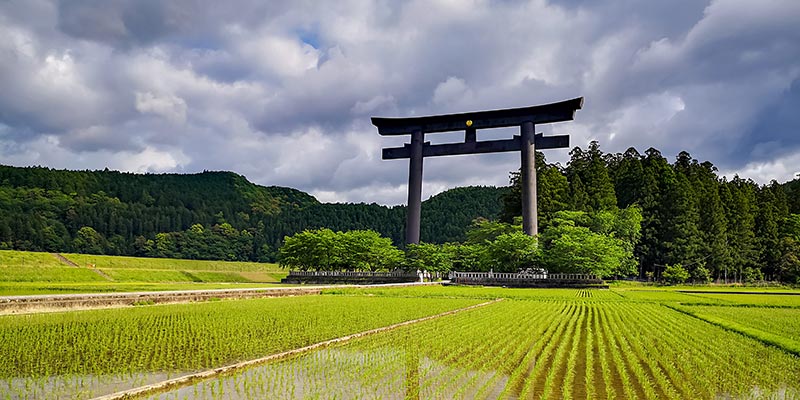 A huge torii gate in a field