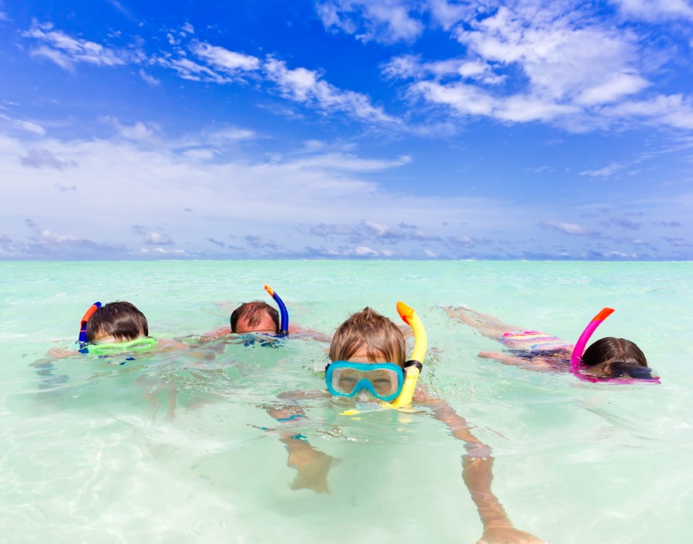 a group of children snorkelling in the ocean