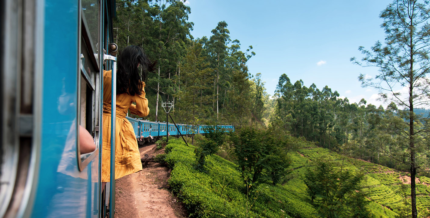 Train through the Tea Plantations