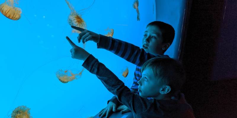 kids in an aquarium
