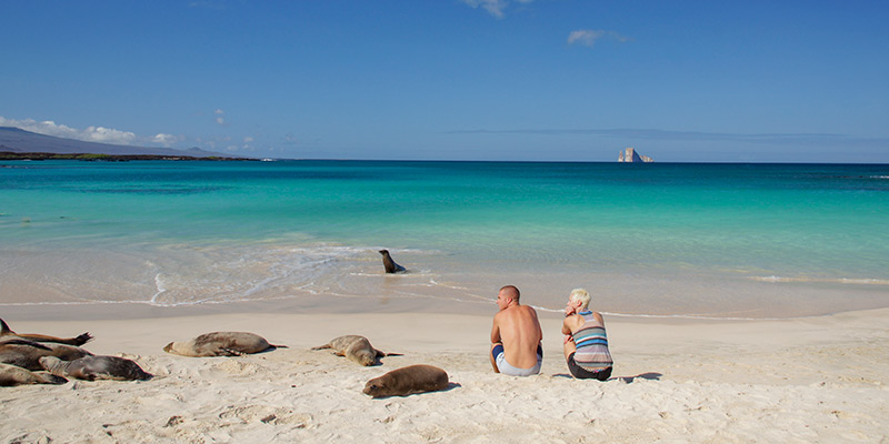Honeymoon in the Galapagos