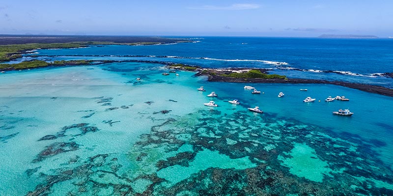Yachts sitting in a bay
