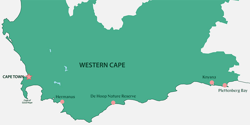 A map outlining the Garden Route