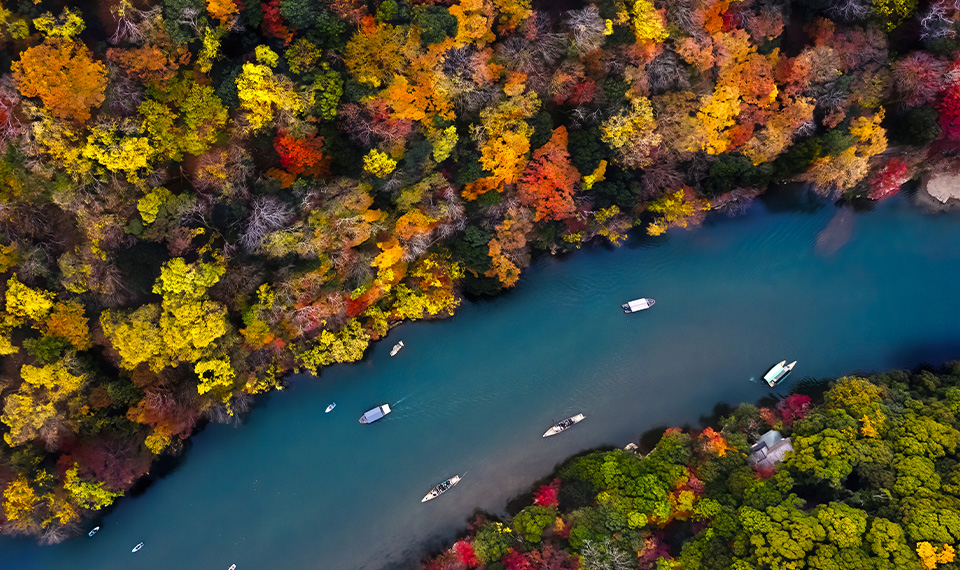 Red, orange, yellow, and green trees line a river with boats floating down it