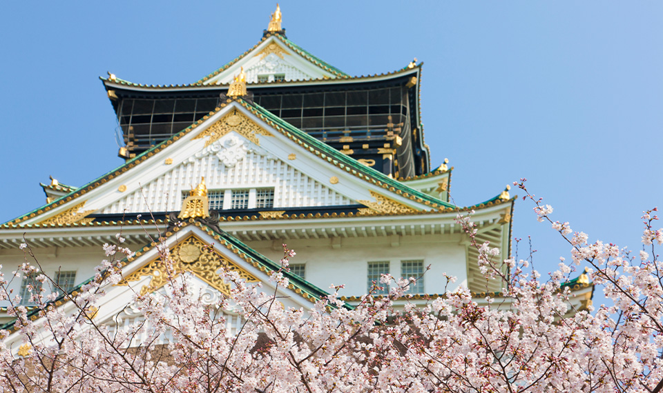Osaka castle with cherry blossom branches