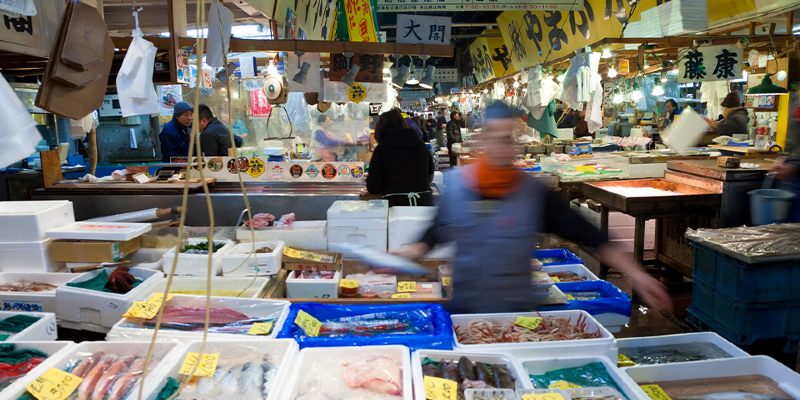 Breakfast at the Fish Markets, Tokyo