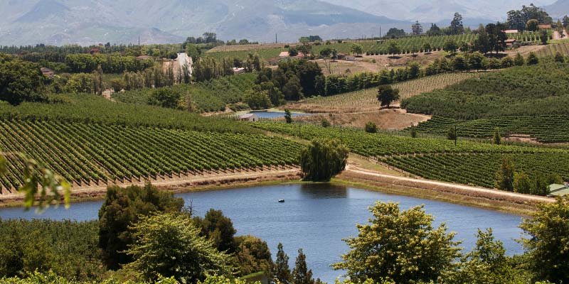 South African farmland with mountains in the distance