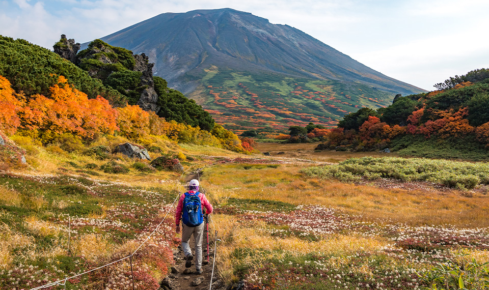 Walking in Japan
