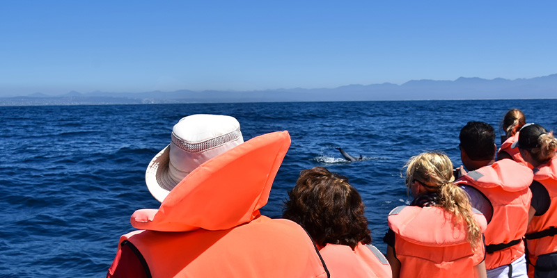 A group of whale watchers on a boat at sea