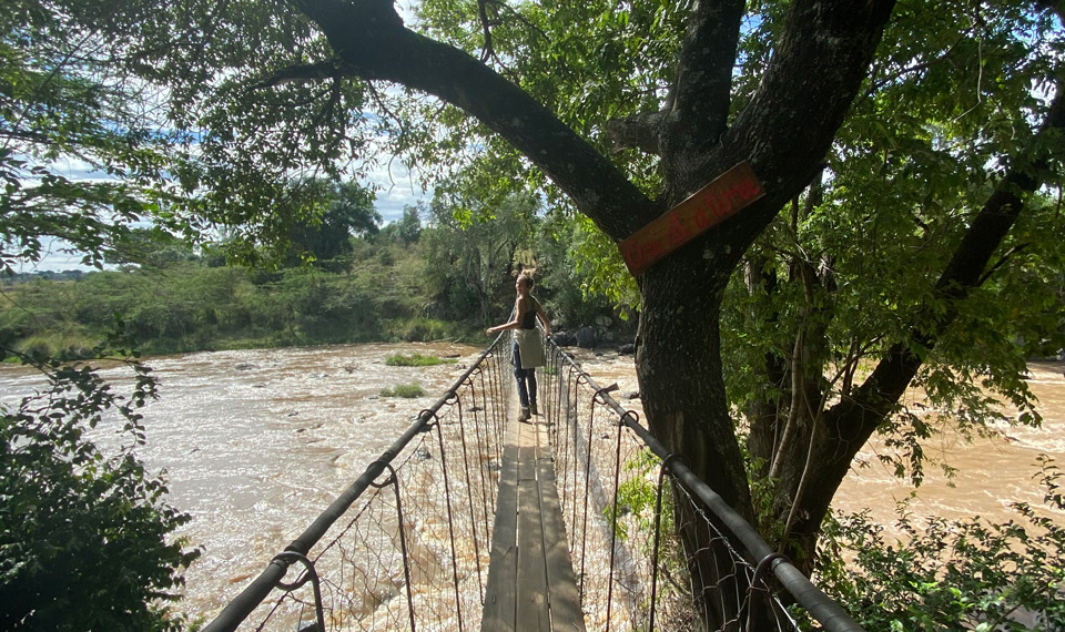 Safari Holiday, Kenya