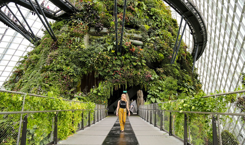 Botanical Gardens, Singapore