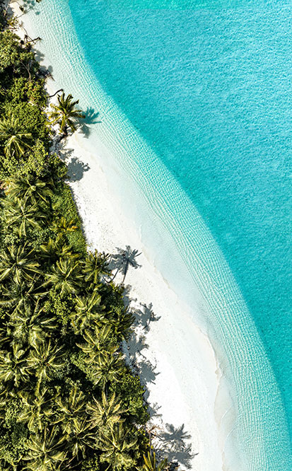 Whit sandy beach lined with palm trees