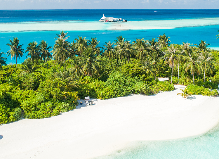 Protecting Paradise: Conservation Experiences in the Maldives