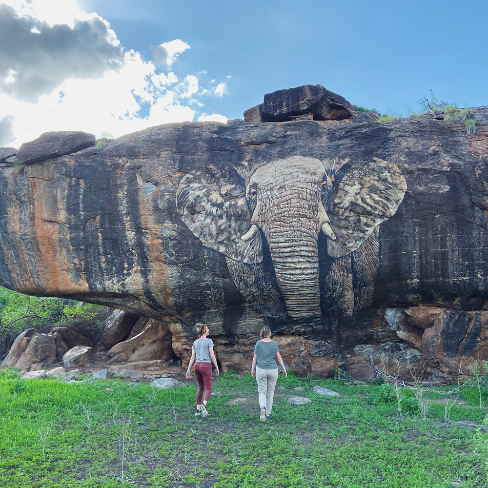 Safari Holiday in Kenya