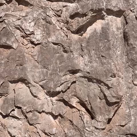 Atacama Desert, Chile