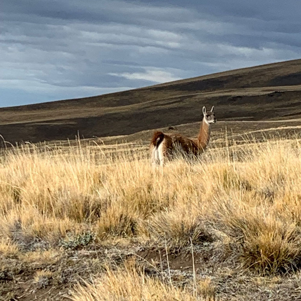 Torres del Paine, Chile