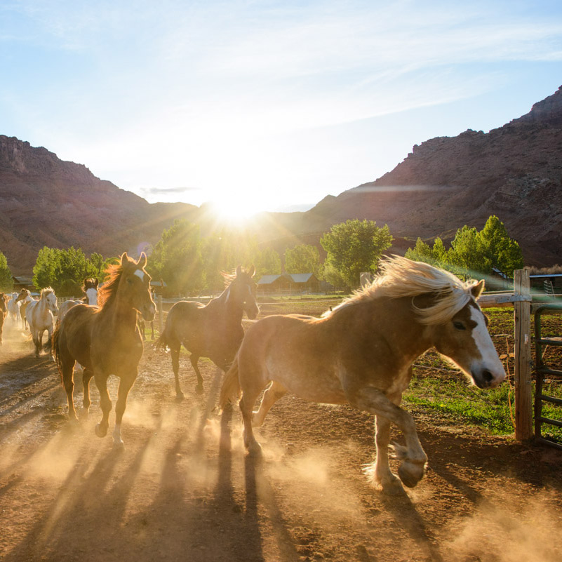 Best Luxury Ranch Holidays