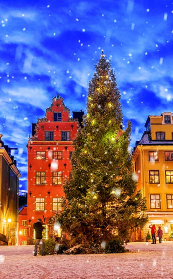 Christmas tree in Stockholm in the snow