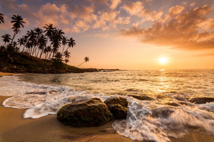 The elusive sights of Sri Lanka’s National Parks 