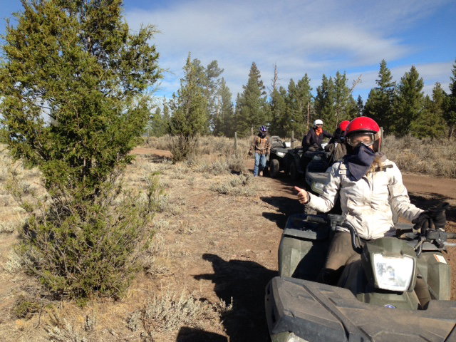 Quad biking