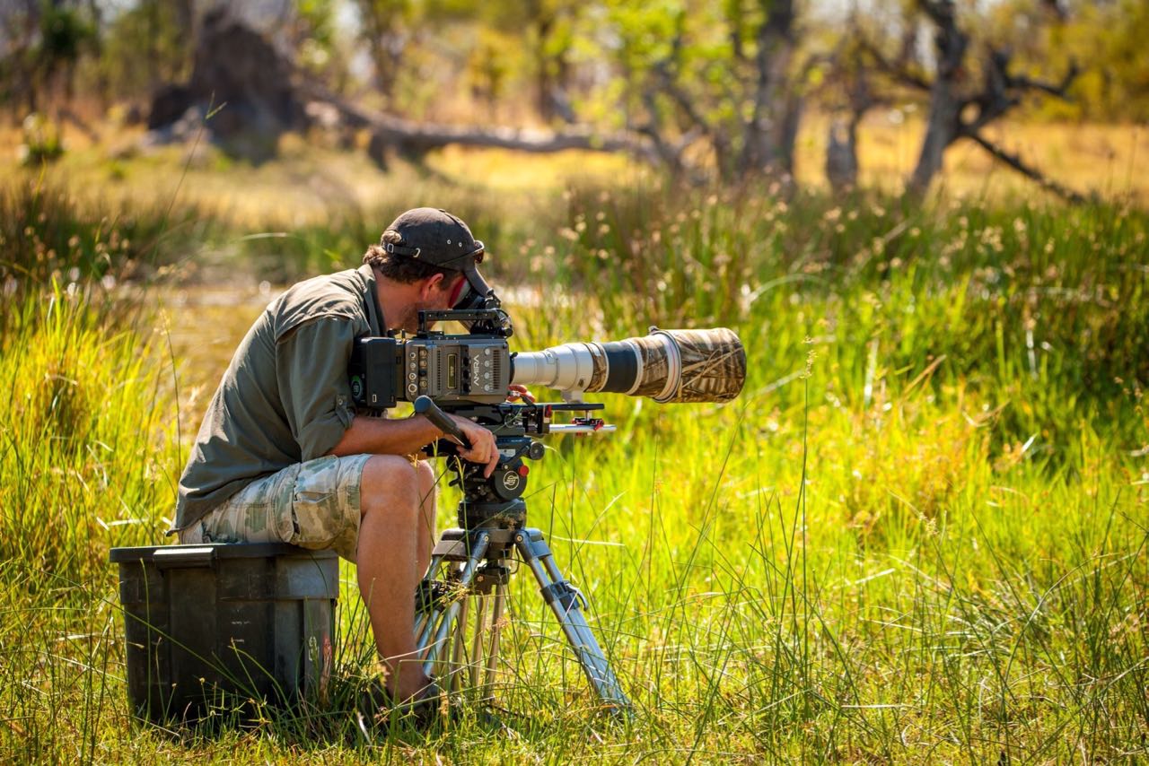 Filming a series for Nat Geo Wild on the camp
