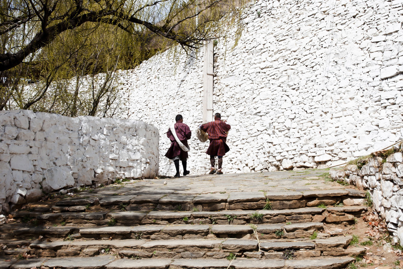 Boys in Paro