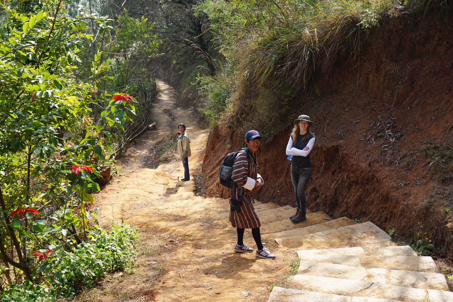 Chilips in Bhutan