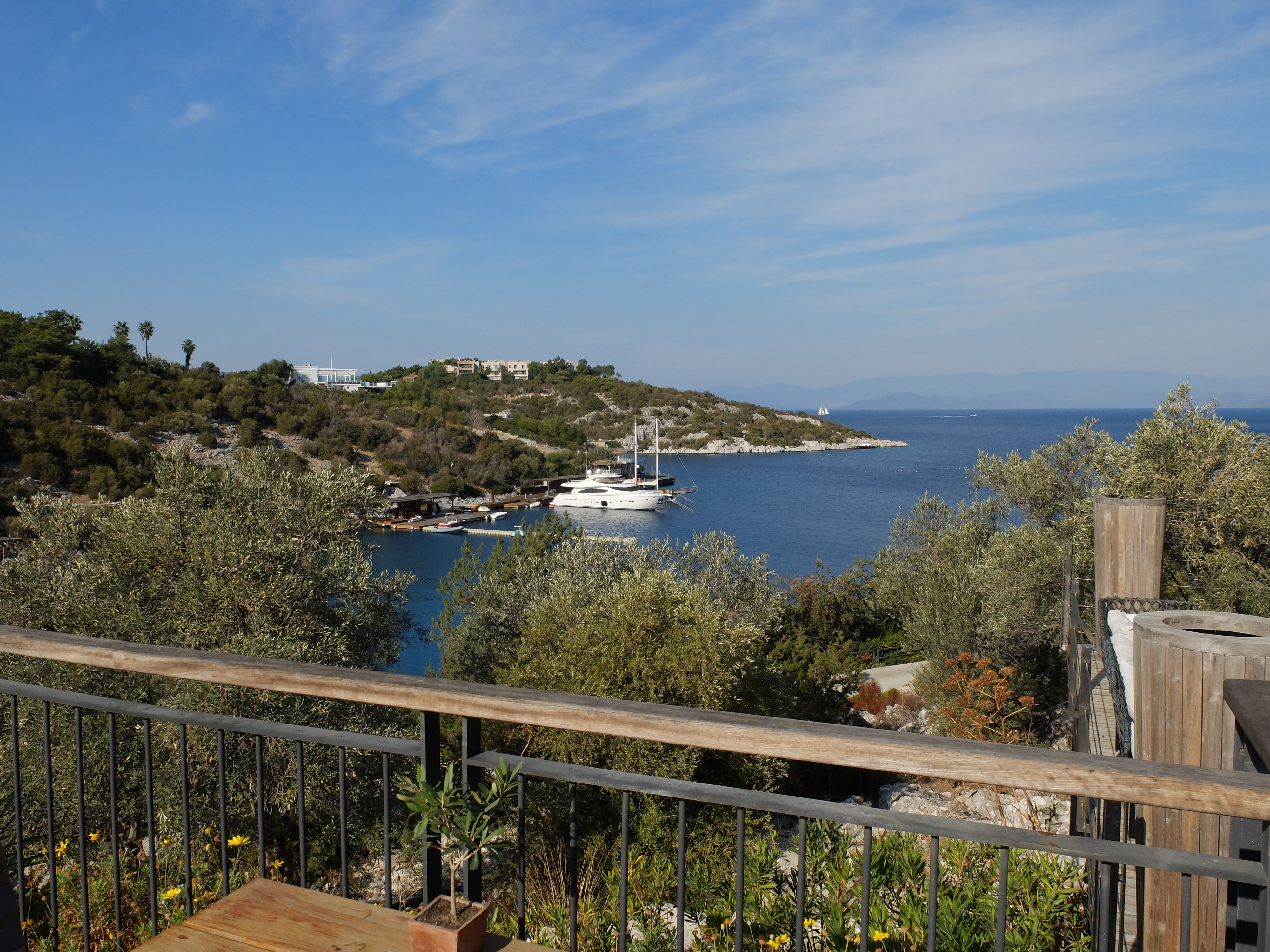 View from the terrace