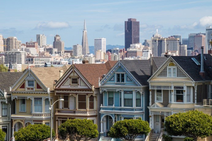 Painted Ladies