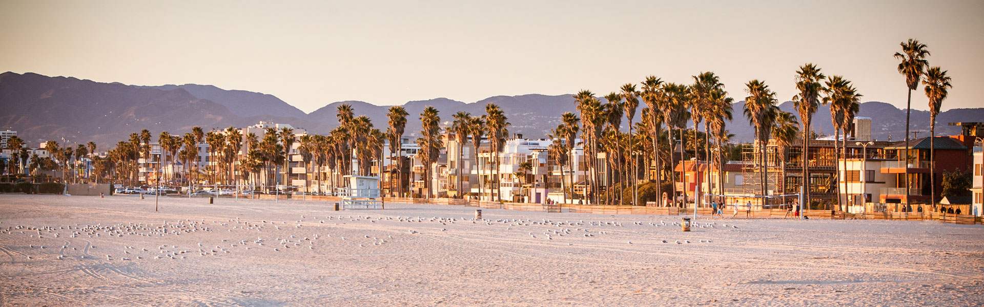California Dreaming
