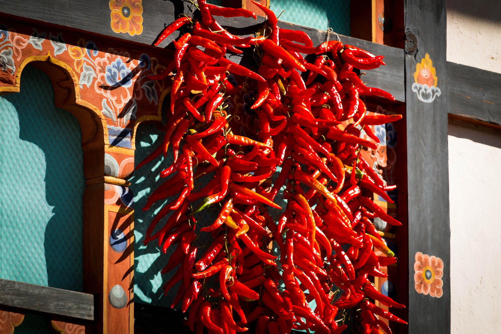 Red Chilies