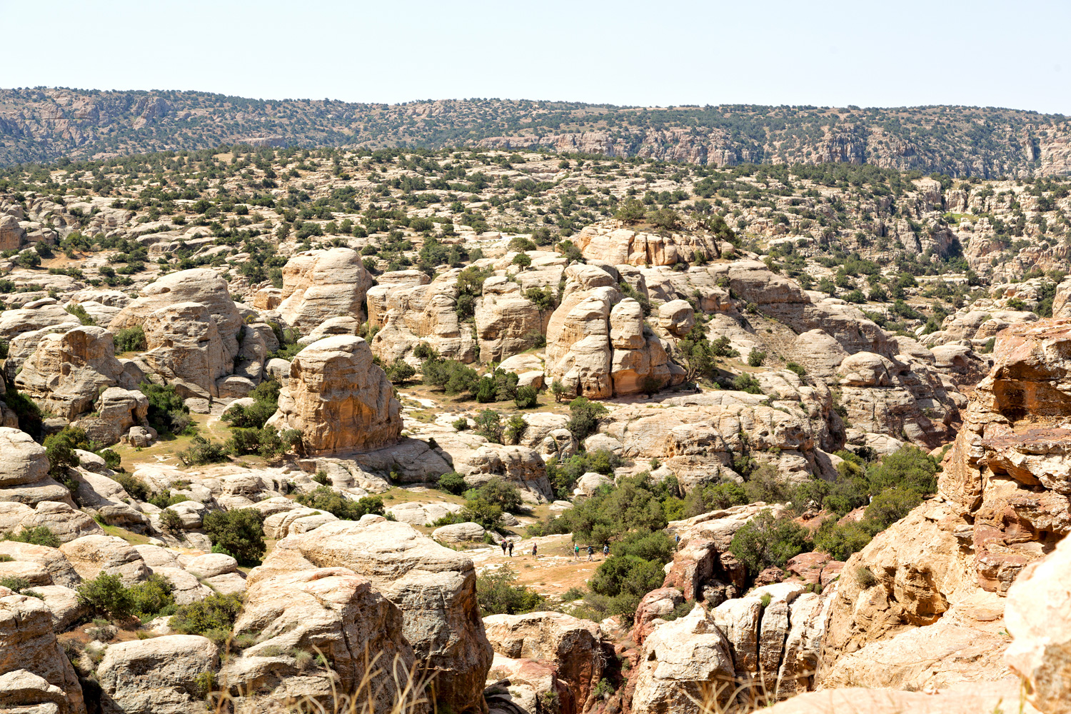 Unique landscapes of Dana Biosphere